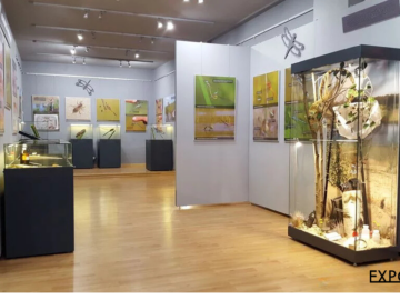 Muzejní modulární výstavní stěny se závěsným systémem doplněné vitrínami s lepeným sklem bez rušivých profilů