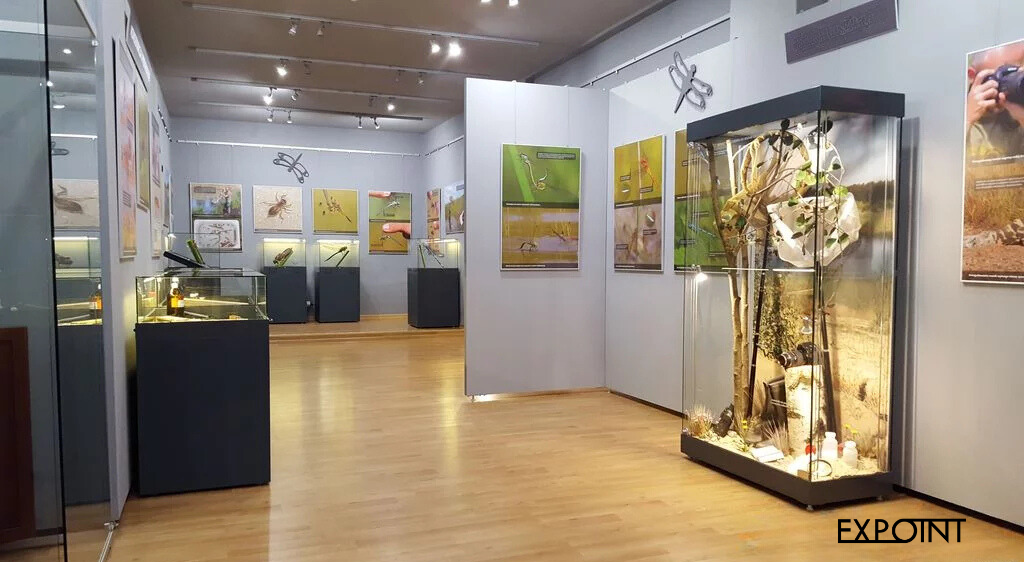 Muzejní modulární výstavní stěny se závěsným systémem doplněné vitrínami s lepeným sklem bez rušivých profilů